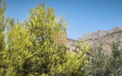 Beautiful, fully refurbished apartment with spacious terraces.